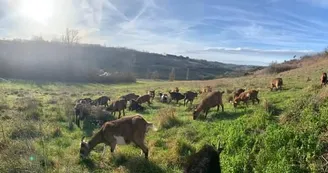 La ferme de Soépi