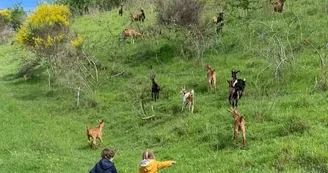 La ferme de Soépi
