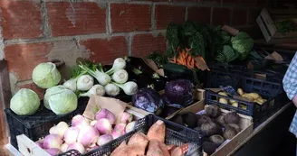 le jardin de bel air_légumes©de_ferme_en_ferme