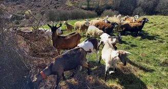 Ferme de Arroutis