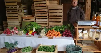 La ferme des mille Pas, Terrebasse
