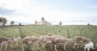 Escons Domaine de Charme