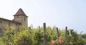 Escons Domaine de Charme