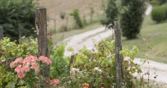 Escons Domaine de Charme