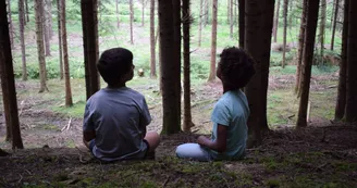 forêt