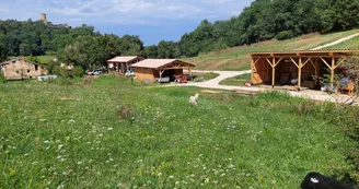 Ferme Plumoc Aurignac - oeufs (6)