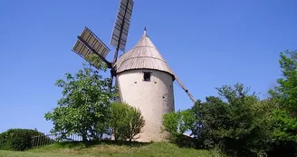 moulin_de_brignemont_credit-OTHautsTolosans (4) moulin_de_brignemont_credit-OTHautsTolosans (4)