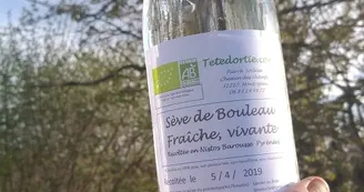 Seve de bouleau; Tête d'ortie; Montrejeau