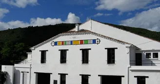CAVE CASTELMAURE