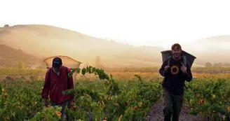 DOMAINE GRAND GUILHEM