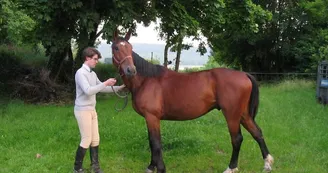 Chambres d'hôtes en Argonne, élevage de chevaux, sentiers de randonnée - Grandpré - Ardennes Chambres d'hôtes en Argonne, élevage de chevaux, sentiers de randonnée - Grandpré - Ardennes
