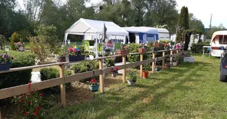 camping grandpré