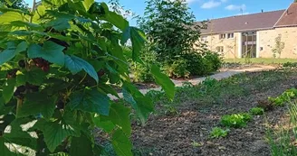Autre prise de vue de notre terrain réservé à nos visiteurs