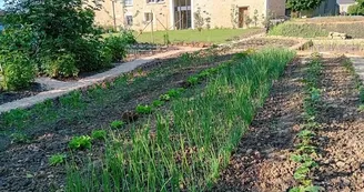 Le potager de Thierry le Jardinier, rien que pour vous !