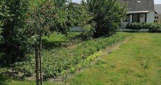 La renaudière