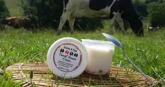 Juliette & Cows - Yaourt