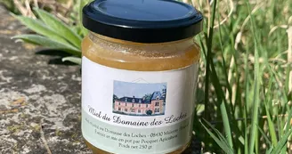 Domaine des Loches - Gîte De Gaupuy - Mazerny - Ardennes Domaine des Loches - Gîte De Gaupuy - Mazerny - Ardennes
