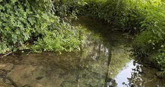 ruisseau
