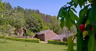Les Hauts de Saint Privat le temps des cerises