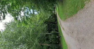 Camping le soleil levant