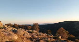 Paysage 1