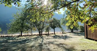 Vue