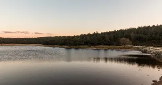 PNALAR048FS00011_02