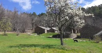 Un village de nature au coeur de la nature Un village de nature au coeur de la nature