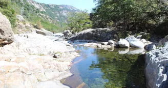 Des balades et des coins de rivière... Des balades et des coins de rivière...