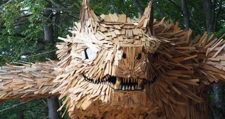 Loup bois portrait Loup bois portrait
