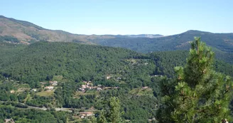 Au loin le village de vacances niché dans la forêt Au loin le village de vacances niché dans la forêt
