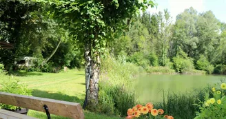 L'orchidee Home