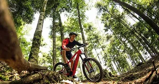Location de vélo vae Moustache