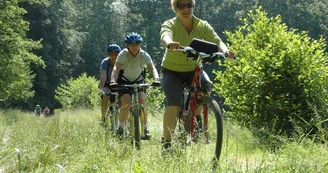 À VTT dans le Sundgau