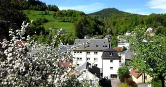Hôtel-restaurant Aux Bruyères