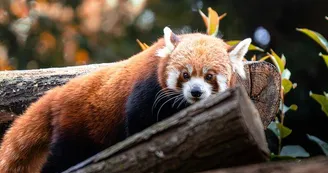 Parc zoologique et botanique