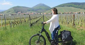 Location de vélos à assistance électrique