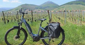 Location de vélos à assistance électrique