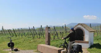 Location de vélos à assistance électrique