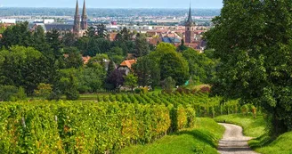 Obernai Obernai