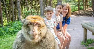 La Montagne des Singes La Montagne des Singes
