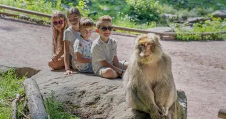 La Montagne des Singes La Montagne des Singes