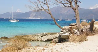 Saint-Florent, plage du Loto 08.10 (5)