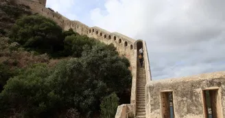 Bonifacio Bonifacio