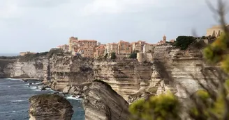 Bonifacio Bonifacio