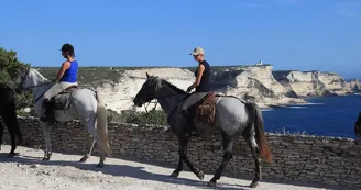 Bonifacio- Bonifacio-