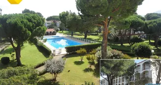 Agence Patios de la Massane 2016