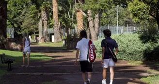 tennis-Grand-Stade-saint-cyprien-01