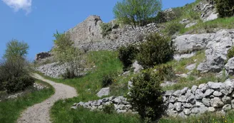 fenouillet_montne_au_chateau fenouillet_montne_au_chateau