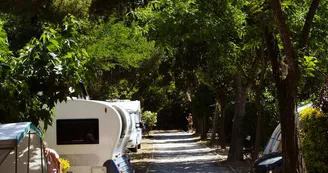Camping-Les-Amendiers-Collioure